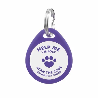 Blue - Custom Flying Discs