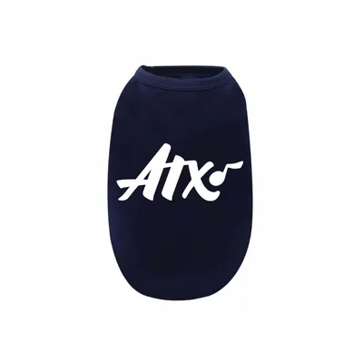 3XL (86+ lbs) - Custom Flying Discs