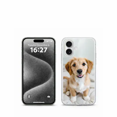 iPhone 17 - Custom Flying Discs