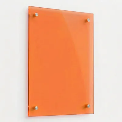 Orange - Custom Flying Discs