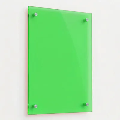 Green - Custom Flying Discs