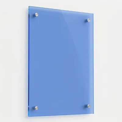 Blue - Custom Flying Discs