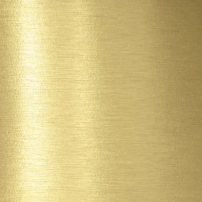 Brushed Gold - Custom Flying Discs