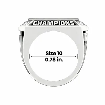 Size 10 - Custom Flying Discs