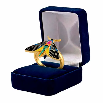 Blue Velvet Box - Custom Flying Discs