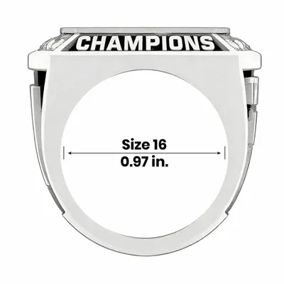 Size 16 - Custom Flying Discs