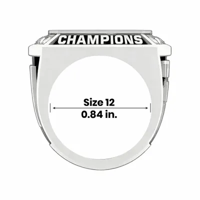 Size 12 - Custom Flying Discs