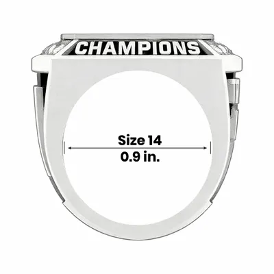 Size 14 - Custom Flying Discs