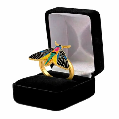 Black Velvet Box - Custom Flying Discs