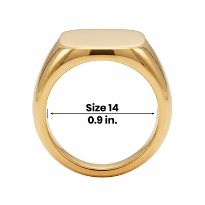 Size 14 - Custom Flying Discs