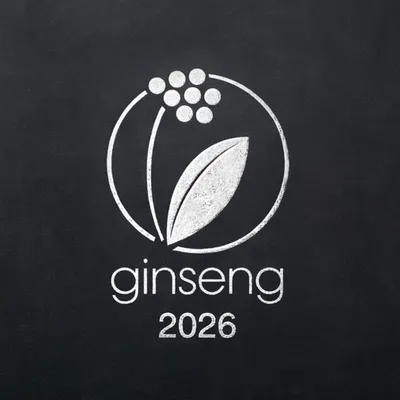 Silver Foil - Custom Flying Discs