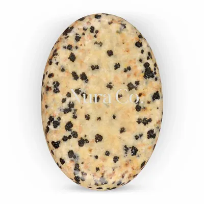 Dalmatian - Custom Flying Discs