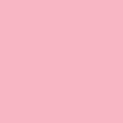 Pink - Custom Flying Discs