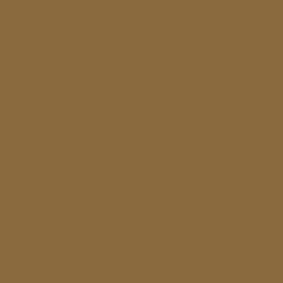 Brown - Custom Flying Discs