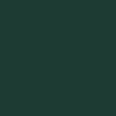 Dark Green - Custom Flying Discs