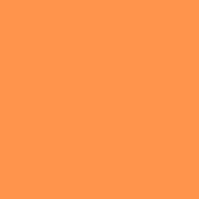 Orange - Custom Flying Discs