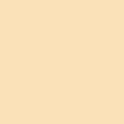Beige - Custom Flying Discs