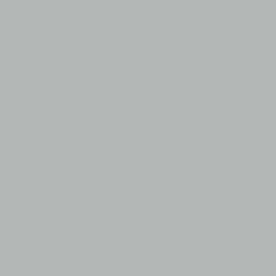 Light Gray - Custom Flying Discs