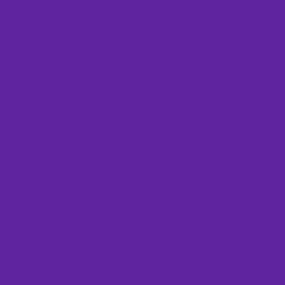 Purple - Custom Flying Discs
