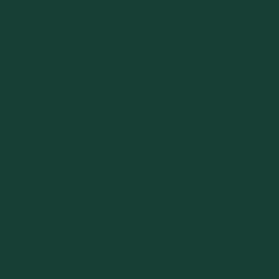 Forest Green - Custom Flying Discs