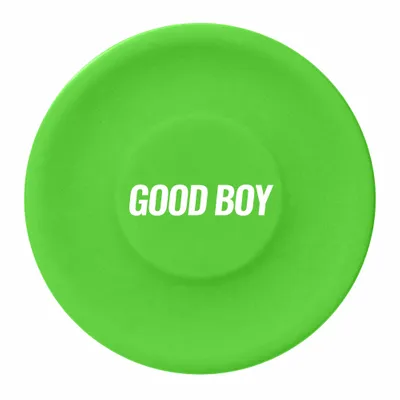 Green - Custom Flying Discs