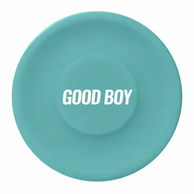 Blue - Custom Flying Discs