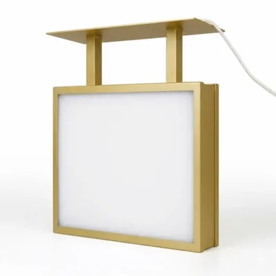 Top Of The Light Box - Custom Flying Discs