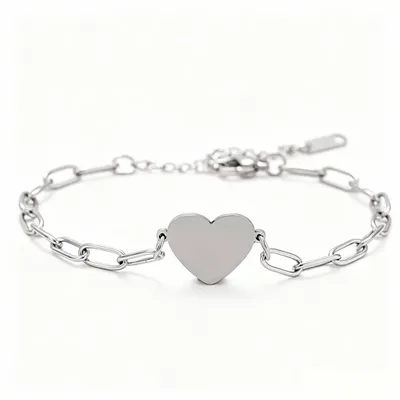 Paperclip Bracelet - Custom Flying Discs