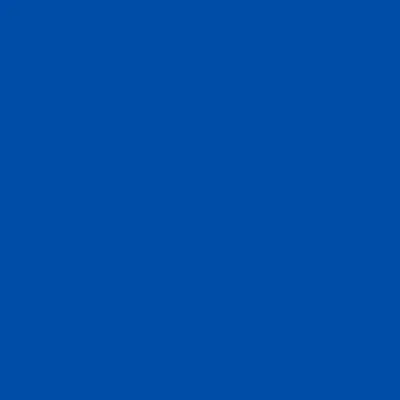 Blue - Custom Flying Discs