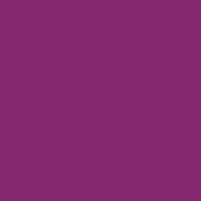 Purple - Custom Flying Discs