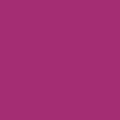 Hot Pink - Custom Flying Discs