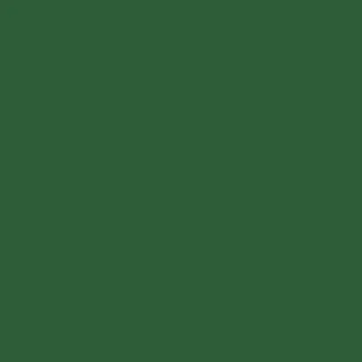 Green - Custom Flying Discs
