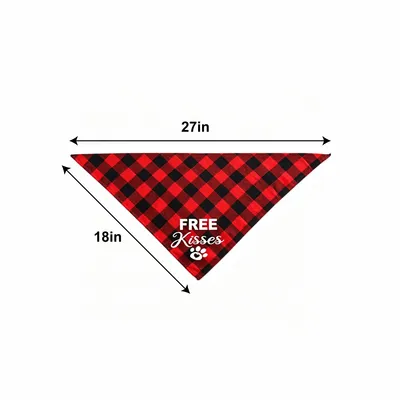 27 x 18 inch - Custom Flying Discs