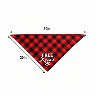 30 x 20 inch - Custom Flying Discs