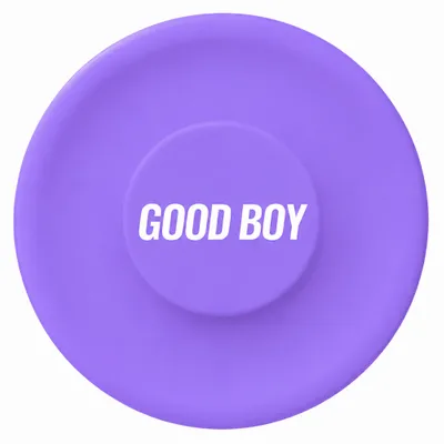 Purple - Custom Flying Discs