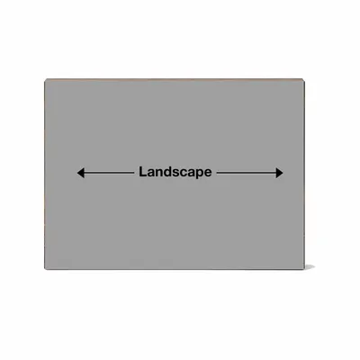 Landscape - Custom Flying Discs