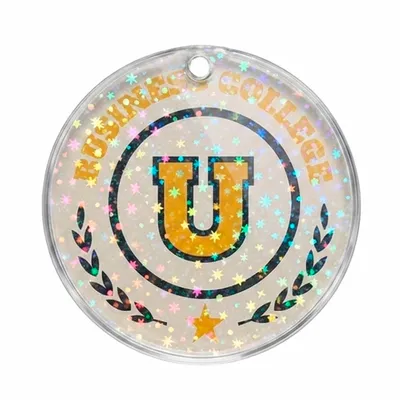 Star Holographic - Custom Flying Discs