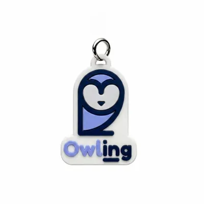 Ring - Custom Flying Discs