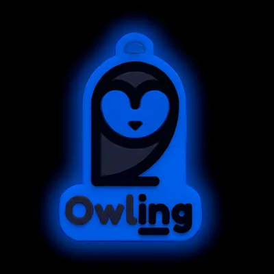 Blue Glow In The Dark - Custom Flying Discs