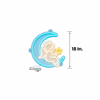 18 in. - Custom Flying Discs