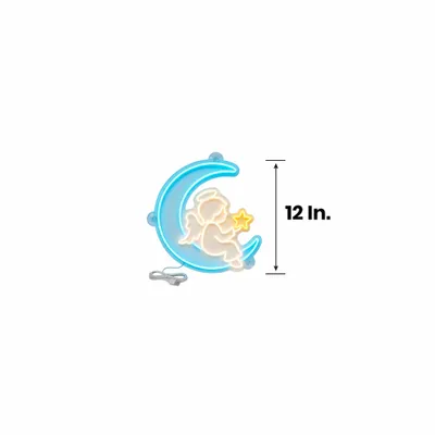 12 in. - Custom Flying Discs