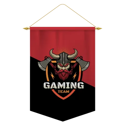 Podium Banners - Custom Flying Discs