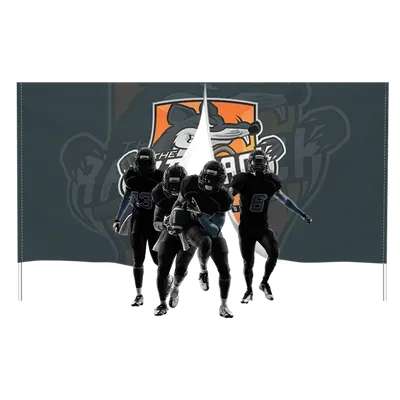 Breakaway Vinyl Banners - Custom Flying Discs