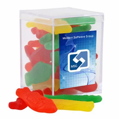 Acrylic Box with Swedish Fish - Small - Custom Flying Discs