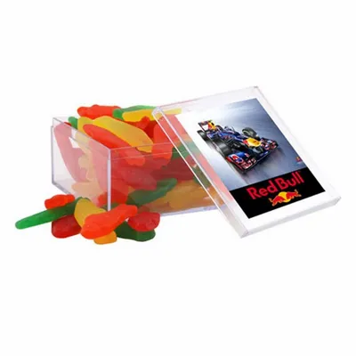 Acrylic Box with Swedish Fish - Large - Custom Flying Discs