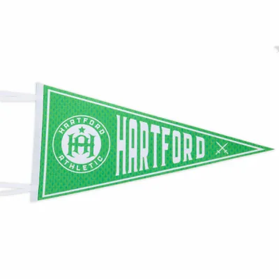 Felt Pennant - Custom Flying Discs