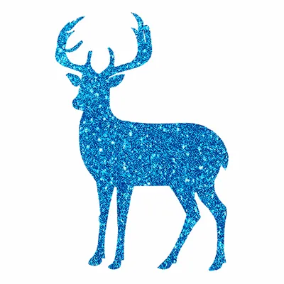 Glitter PVC Patches - Custom Flying Discs