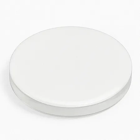 No Fixing No Fixing - Custom Flying Discs