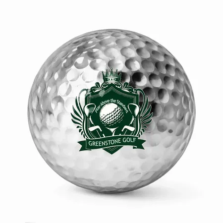 Silver - Custom Flying Discs