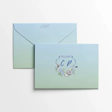 Envelopes - Custom Flying Discs